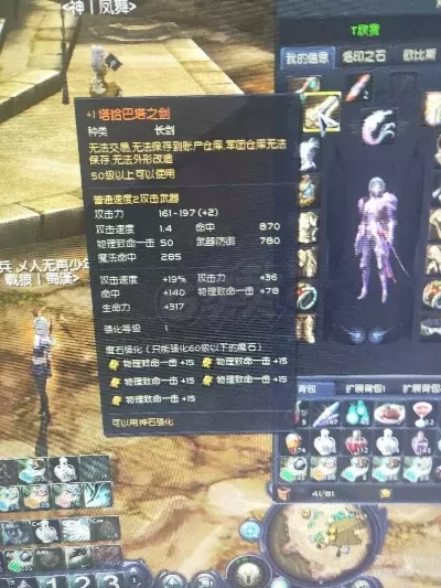 《永恒之塔》精灵职业攻略：全魔抗黑暗套、全命中增幅套玩法解析