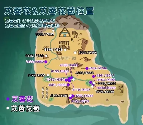 《创造与魔法》伊莱恩沙漠苁蓉花苞获取指南及注意事项