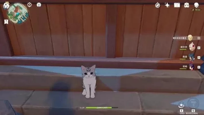 原神猫咪捕捉攻略：浅濑神社、莎莉小猫、小王子黑猫等捕捉方法